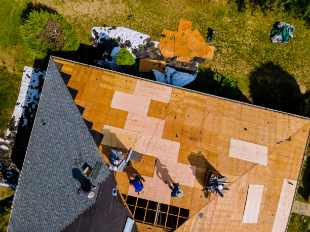 Best Flat Roof Repair Services  in Risg Sun, IN