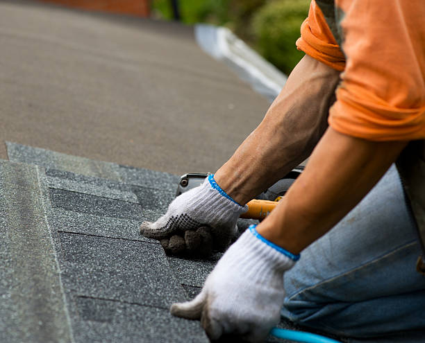 Gutter Installation and Roofing in Rising Sun, IN